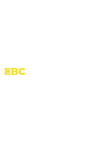 進擊的台灣